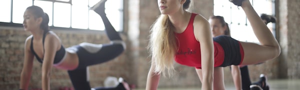 彩神vl站点前沿门户页面展示图